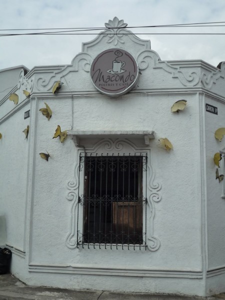 P1000519