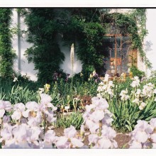 Botanical garden
