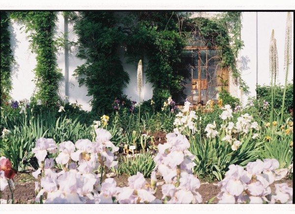 Botanical garden