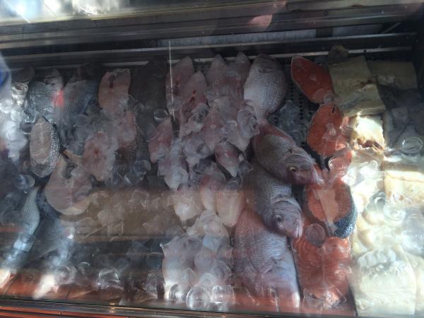 IMG_0807