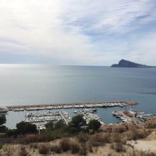 IMG_2120