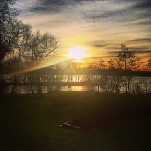 IMG_8750