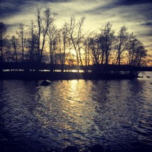 IMG_8751