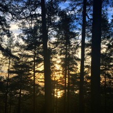IMG_8763