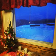IMG_8924