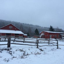 IMG_8944