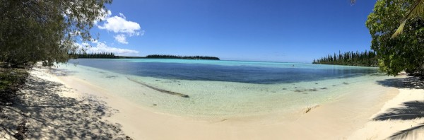 IMG_1382